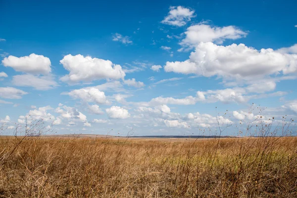 Bulutlar tarlanın üzerinde