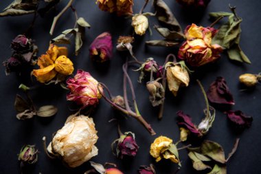 Siyah kurutulmuş güller