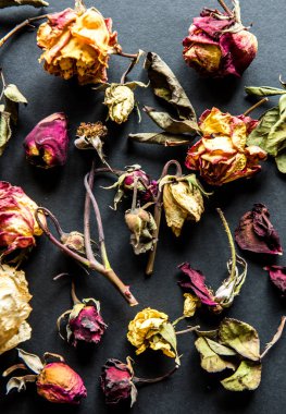 Siyah kurutulmuş güller