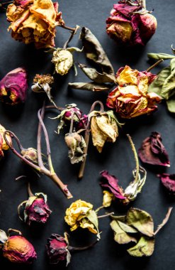 Siyah kurutulmuş güller