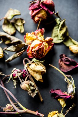 Siyah kurutulmuş güller