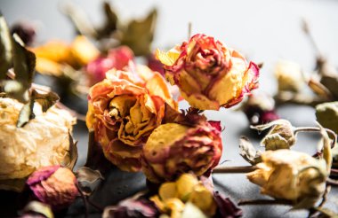 Siyah kurutulmuş güller