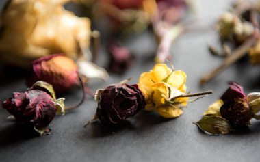 Siyah kurutulmuş güller