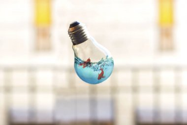 uçan akvaryum ampul, havaya yükselme ve iş kavramı