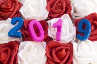 mutlu yeni yıl 2019 kırmızı ve beyaz çiçekli