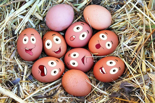 fresh organic eggs with different face expressions, happy easter concept