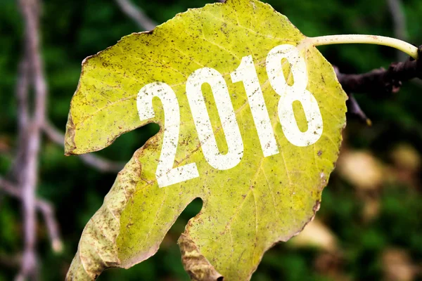 2018 painted on leaf,happy new year concept