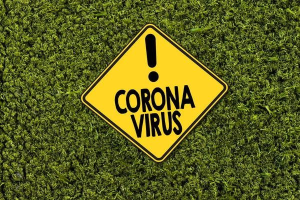 Verkehrsschild Mit Coronavirus Auf Grünem Gras — Stockfoto