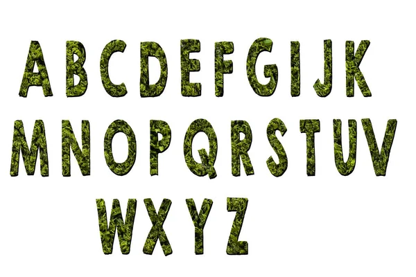 Latijnse Alfabet Letters Gemaakt Van Gras Wit — Stockfoto