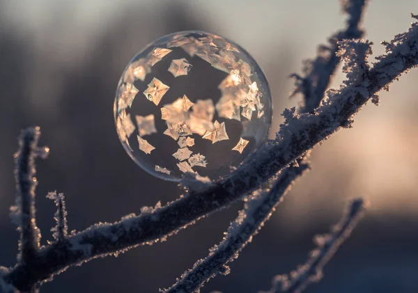 Заморозка мыльного пузыря — стоковое фото