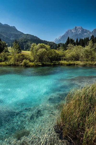 Zelenci, Naturschutzgebiet, Slowenien — Stockfoto