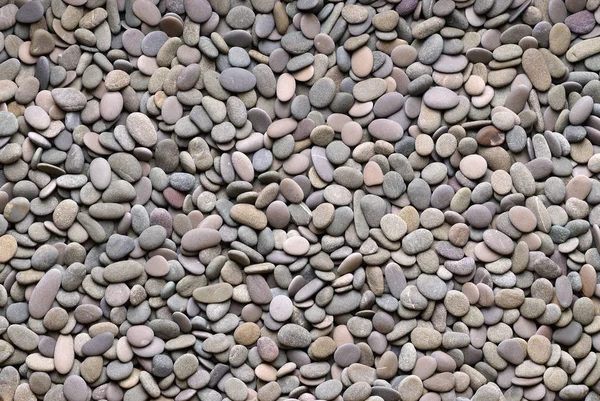 Grey river pebble background — Stock Photo, Image