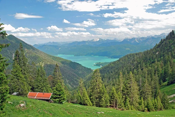 Güzel Walchensee Bavyera Alpleri Panoraması — Stok fotoğraf