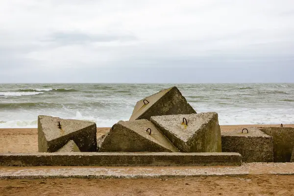 kızgın inek yeşil bir çayırda geliyor