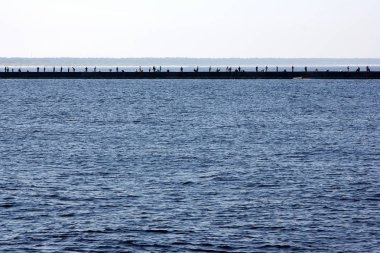 Pek çok anglers bir köstebek Bolderaja Riga Baltık Denizi üzerinde duran ve balık yakalamak