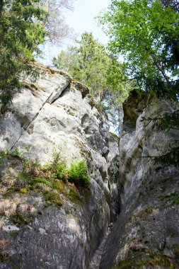 Sietiniezis en yüksek beyaz kumtaşı mostraları Letonya biridir