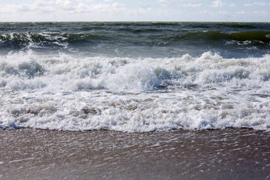 Kumlu sahili dalgalar ile Baltık Denizi'nin