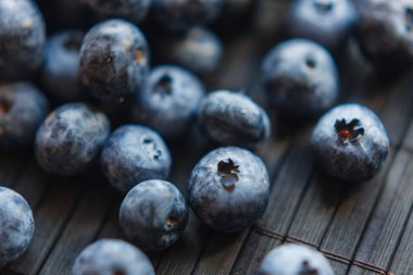 Büyük parlak sulu iştah açıcı yaban mersini portre