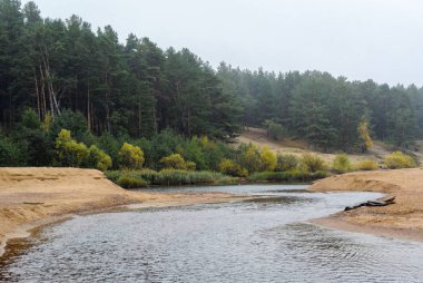 Sessiz beyaz kumlu bir plaj üzerinde Baltık Denizi