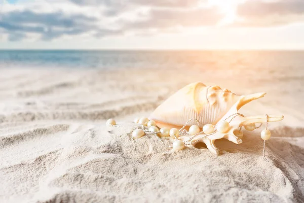 Seashell and pearl necklace on the yellow sand of a tropical sea beach on a summer day