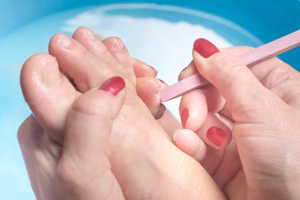 Specialist in beauty salon making french pedicure for female client. Relaxing at beauty salon, caring about nails.