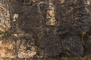 Eski şehir arka planında kaldırım taşı caddesi ve bitkiler.