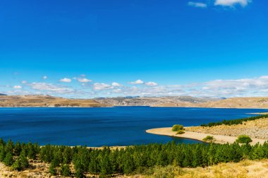 Arjantin, Patagonya 'da mavi göller, And Dağları ve orman manzarası.