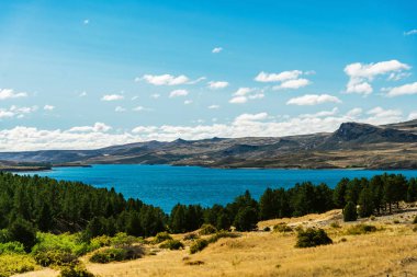 Arjantin, Patagonya 'da mavi göller, And Dağları ve orman manzarası.