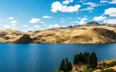Arjantin, Patagonya 'da mavi göller, And Dağları ve orman manzarası.