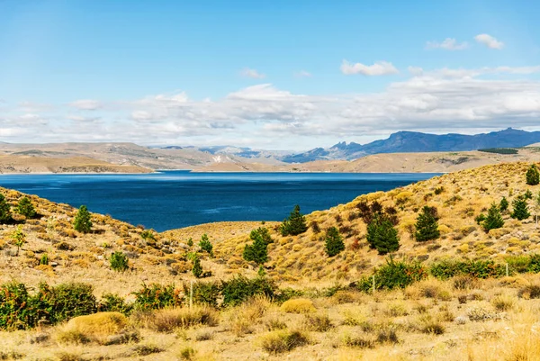 阿根廷巴塔哥尼亚绿松石湖和黄色草原景观. — 图库照片