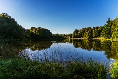 Patagonya 'daki And Dağları ve ormanın yansıması olan bir gölün yüzeyinde..