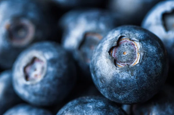 Macro close up photography of fresh organic blueberries.