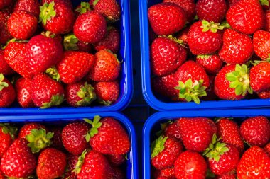 Çiftçi tezgahında organik çilek fotoğrafları duruyordu..