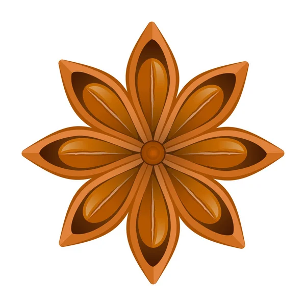 Yıldız anason beyaz arka plan üzerinde. Vektör çizim