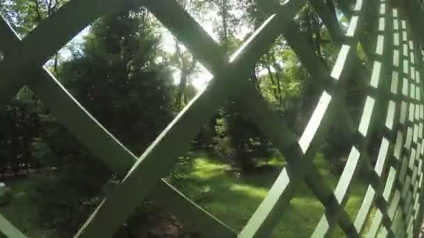 Quartos verdes Jardim de Verão — Vídeo de Stock