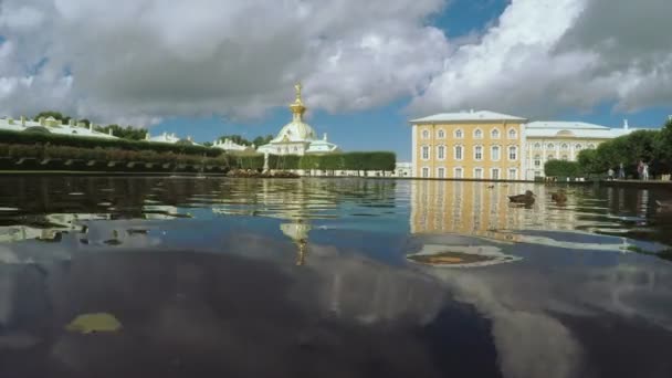 Parque Kolonistky y estanque en Peterhof — Vídeos de Stock