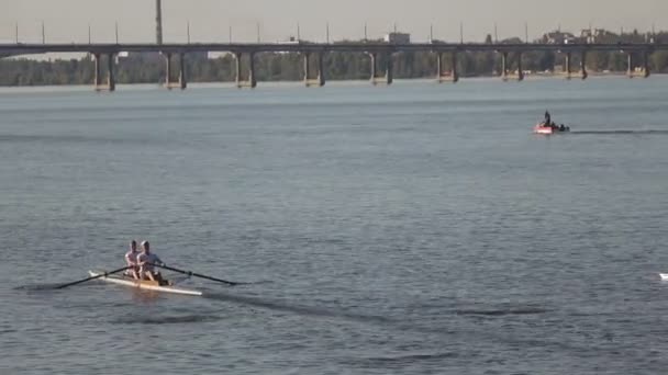 Kayakers nel team di competizione — Video Stock