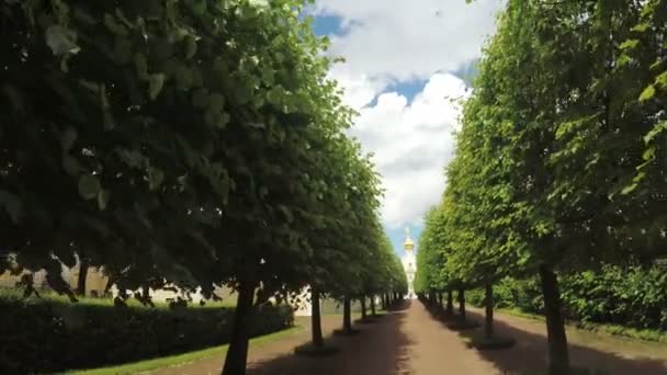 Callejón en el Parque en Peterhof — Vídeos de Stock