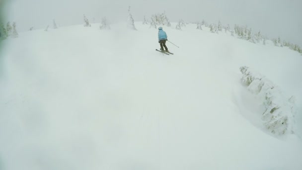 自然の中の女性スキー降下 — ストック動画