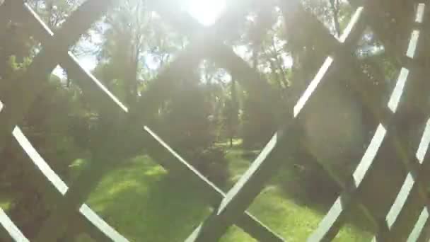 녹색 객실 여름 정원 — 비디오
