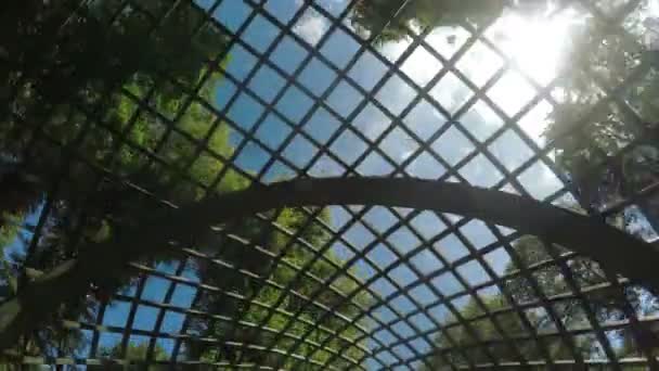 Chambres vertes Jardin d'été 