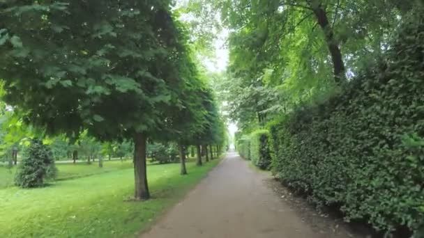 Aleja w parku w mieście Peterhof — Wideo stockowe