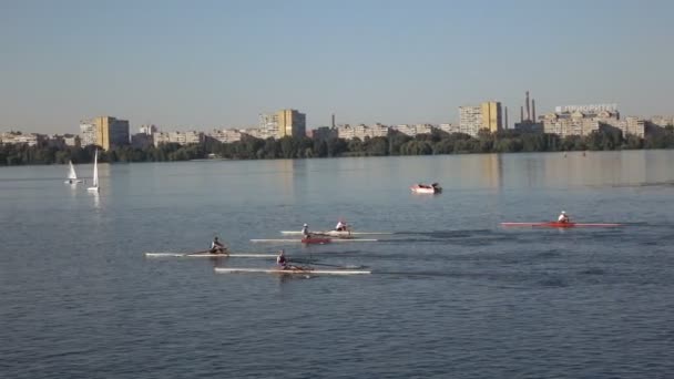 Kayakers in the competition team — Stock Video