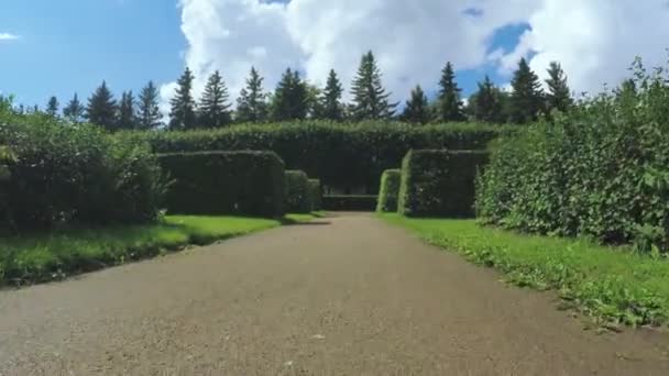 Labirinto entre os arbustos — Vídeo de Stock
