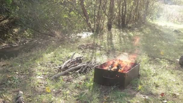 Barbecue in het bos — Stockvideo