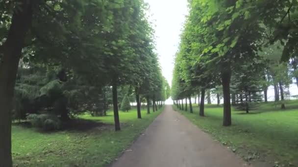 A parkban a Peterhof sikátor — Stock videók
