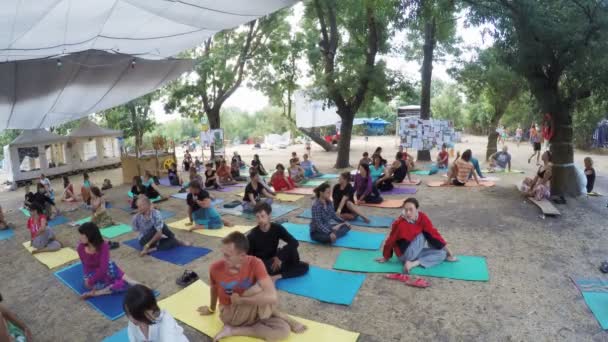 Group hatha yoga on ethno esoteric festival — Stock Video