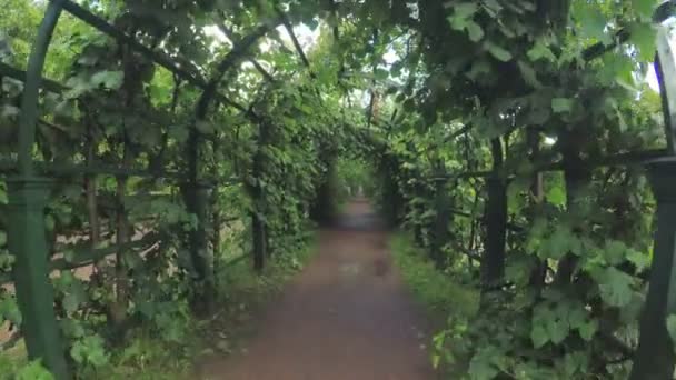 Πράσινα δωμάτια καλοκαιρινό κήπο — Αρχείο Βίντεο