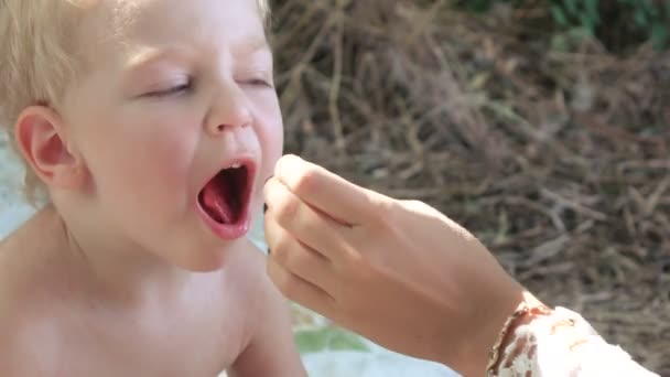 Criança alimentando fatia de melancia — Vídeo de Stock