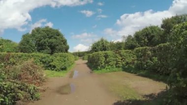 Peterhof parkta sokakta